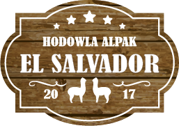Hodowla Alpak EL SALVADOR